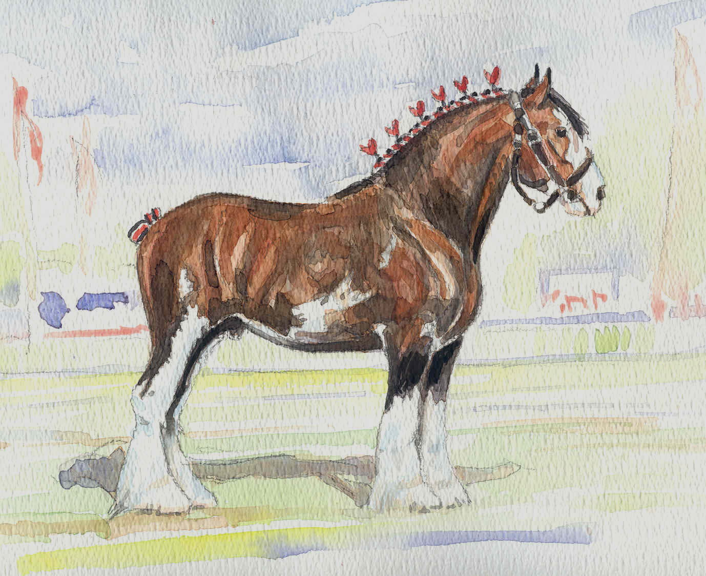 Clydesdale